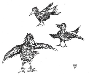 Raben. (c) Michael Mutschler, 2011