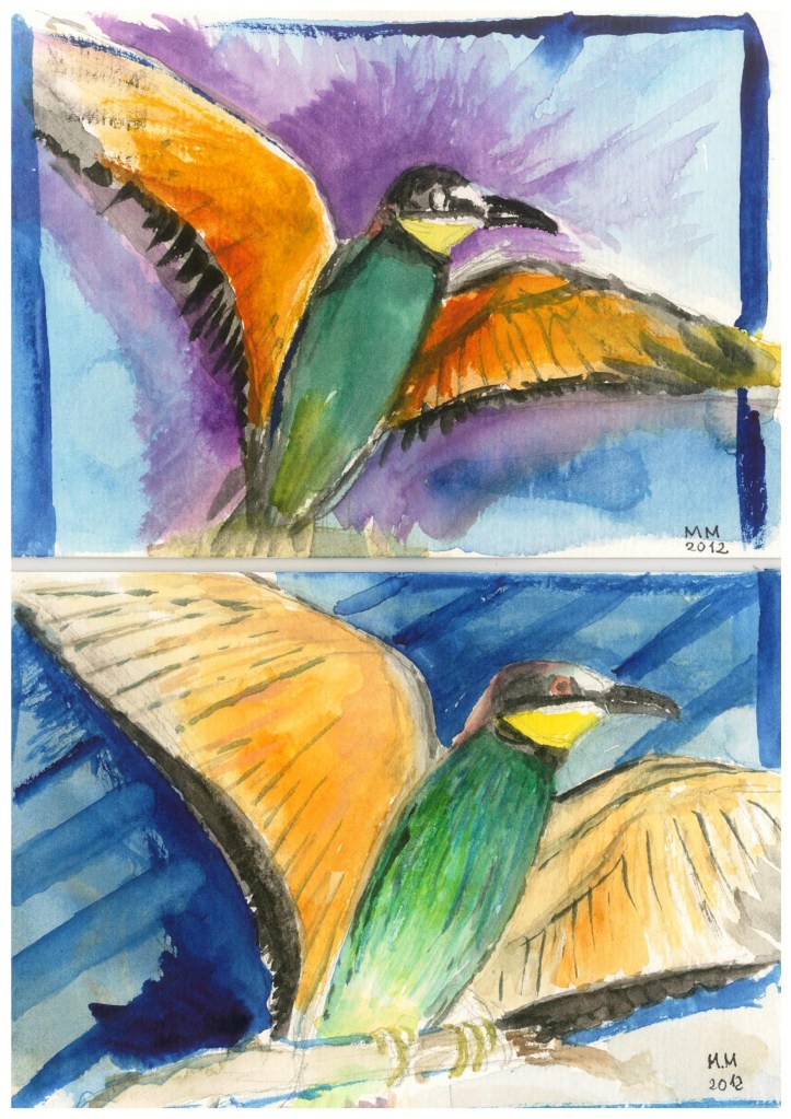 Vögel am Geiseltalsee